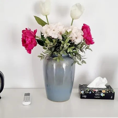 Lovely 2 Bed 3 Bath, Fully Equipped, Near Promenad Appartement